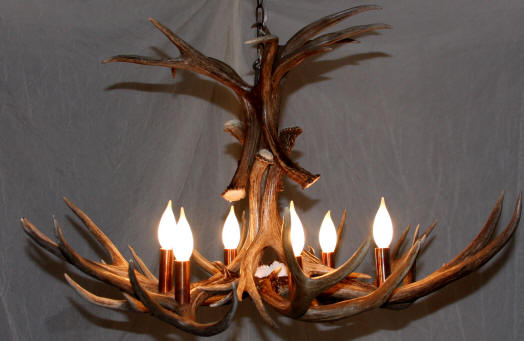 mule deer antler chandelier