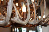 closeup of whitetail chandelier