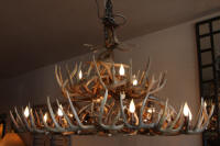 whitetail deer antler chandelier