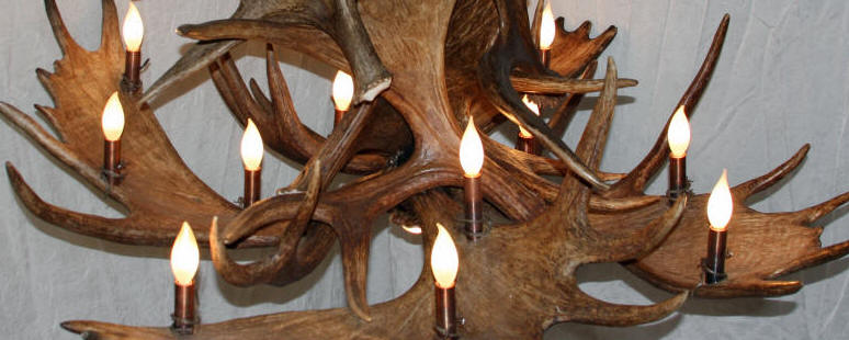 close up of large moose antler chandelier